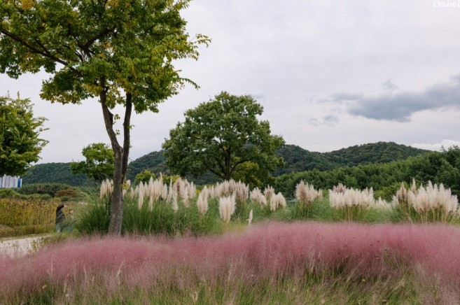 태화강 국가정원