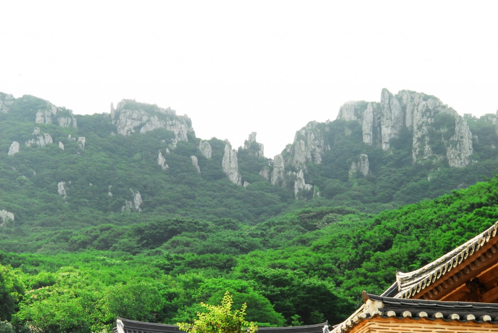 달마산 풍경