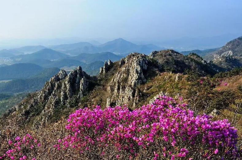 달마산 전경
