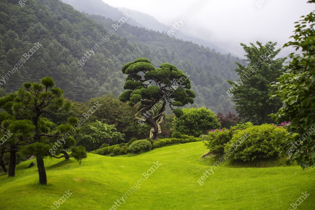 아침고요수목원 풍경