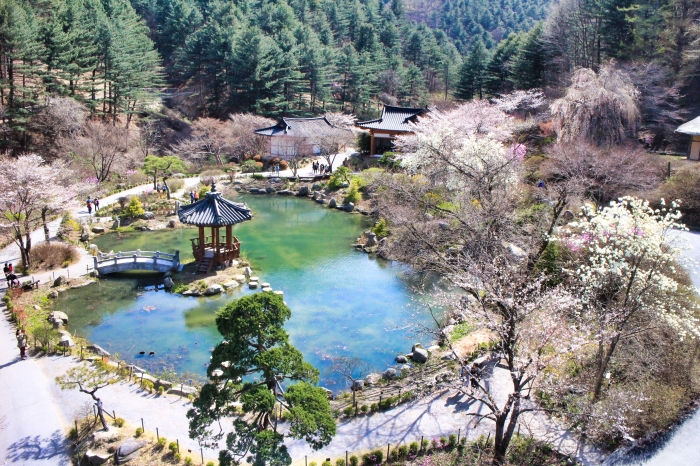 아침고요수목원 여행