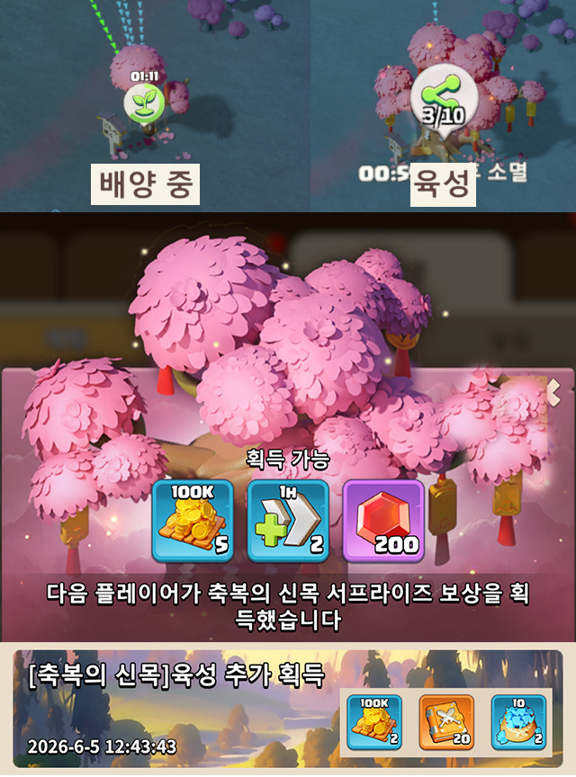 축복의신목보상