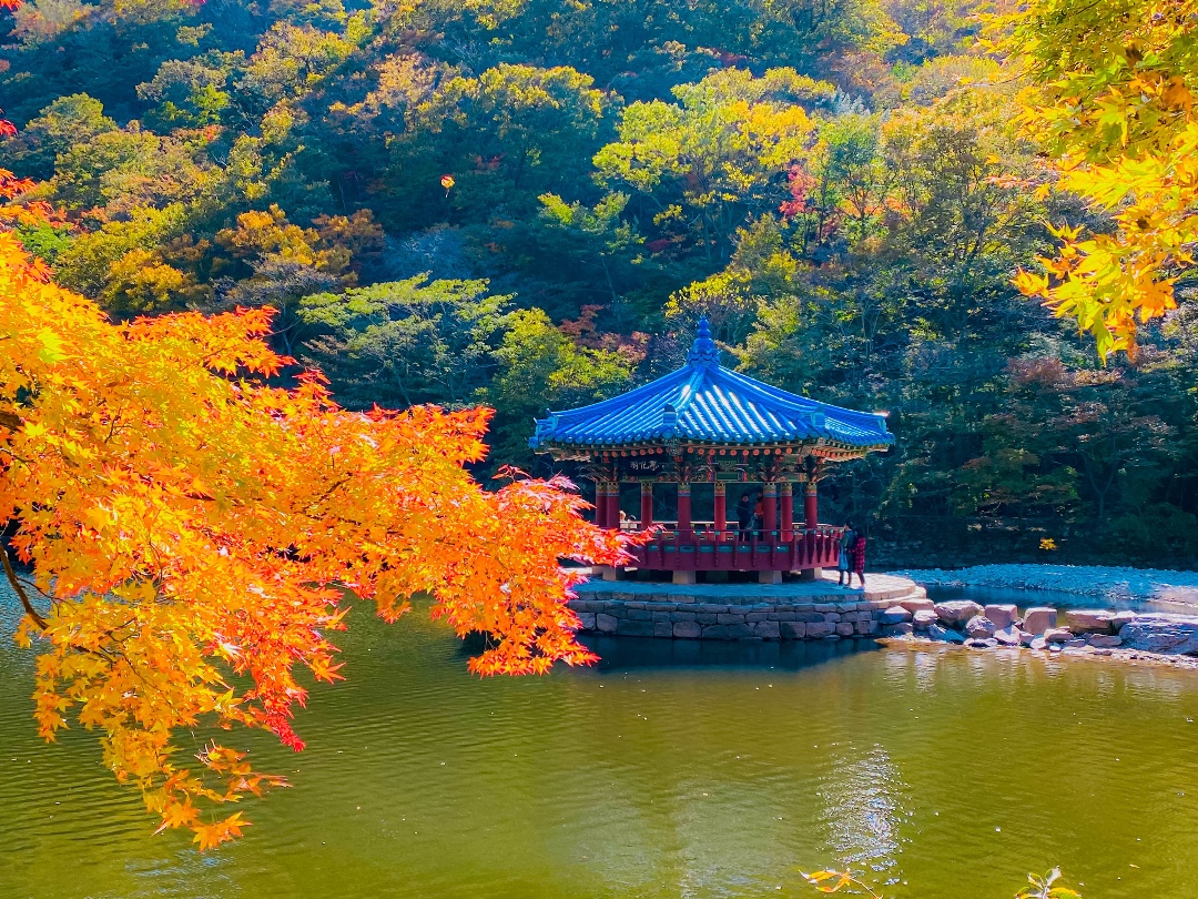 내장산 국립공원 여행
