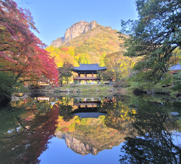 내장산 국립공원 경치