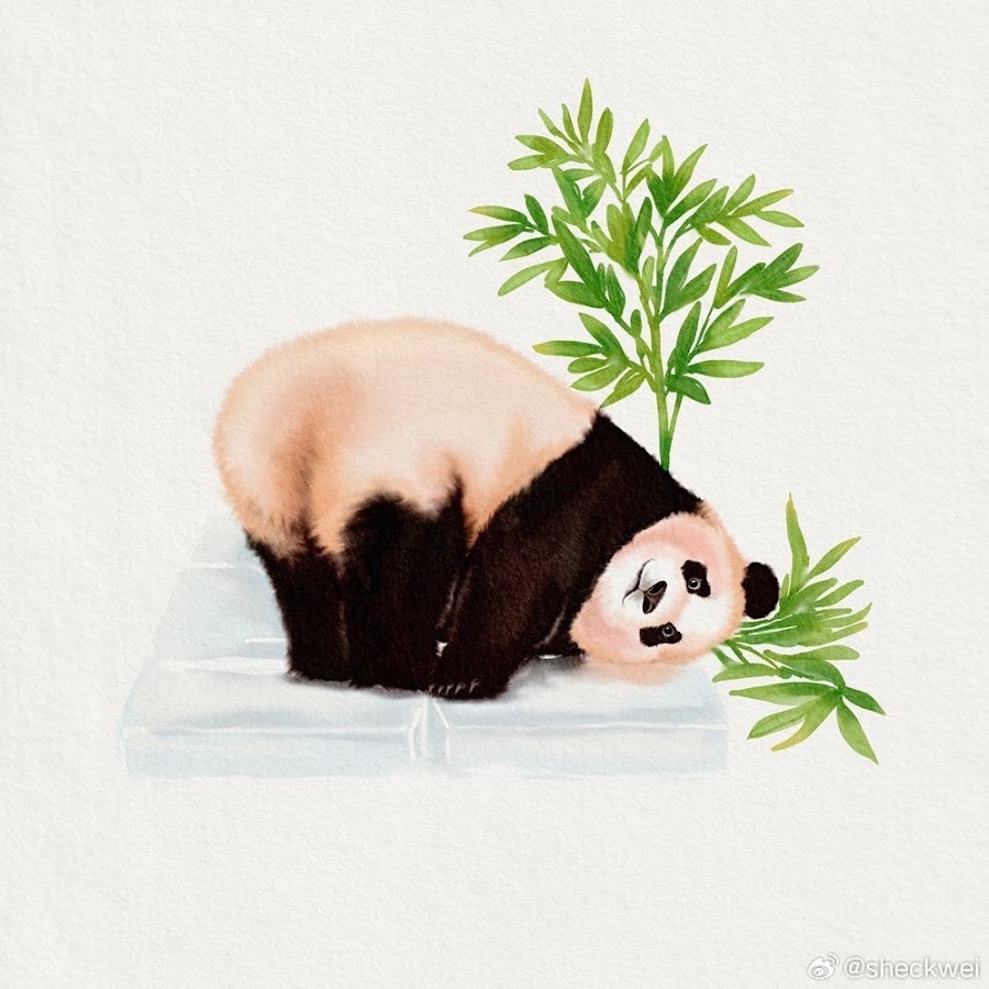 푸바오 전경