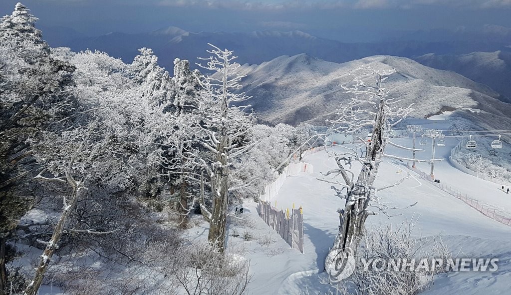 무주 리조트 여행