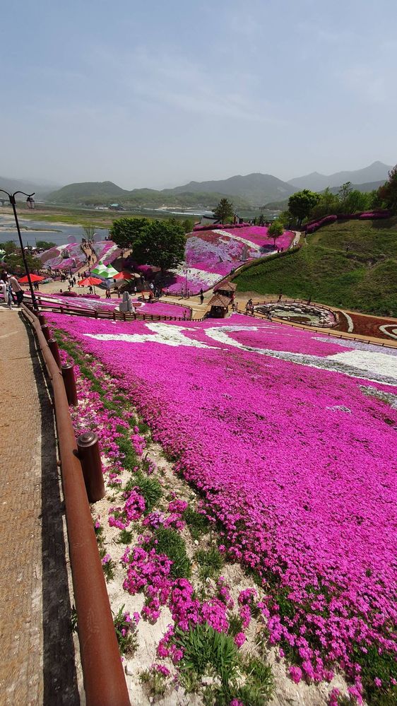 산청 한방테마파크 여행