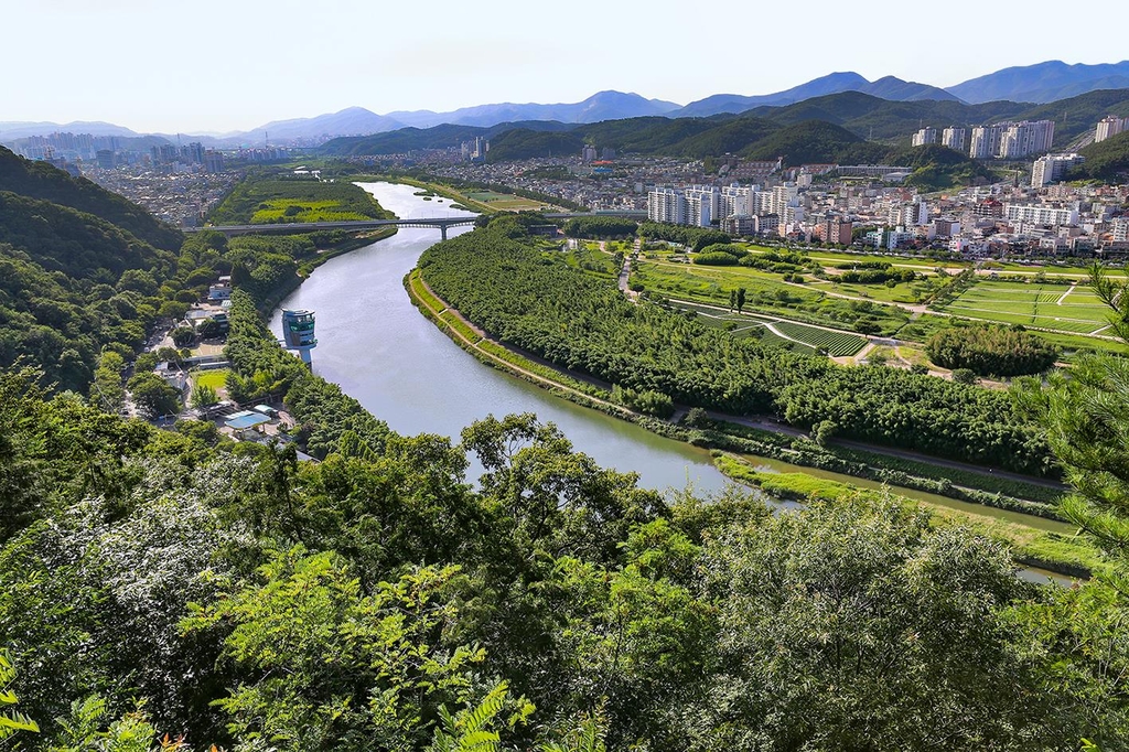 태화강 국가정원 전경