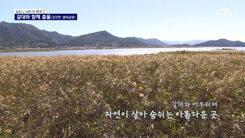 강진만 생태공원 풍경