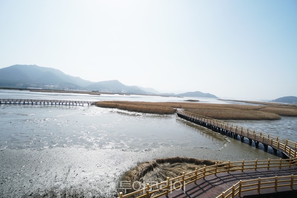 강진만 생태공원 여행